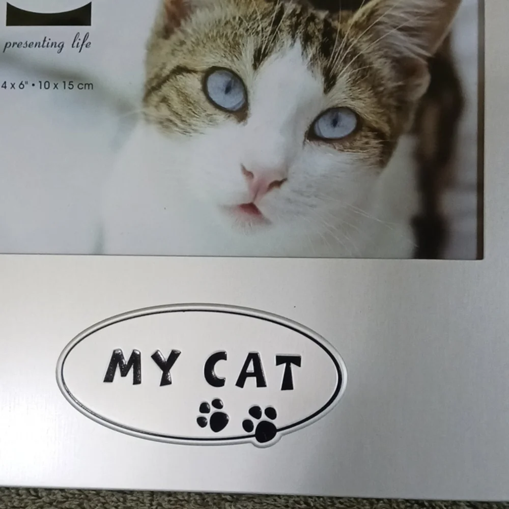 Picture frame - Picture 2 of 4